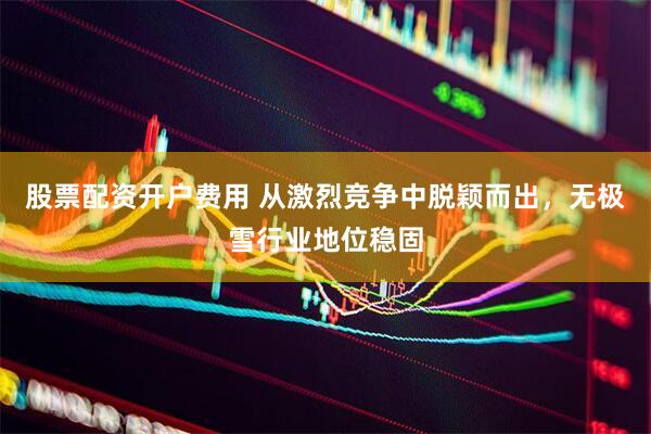股票配资开户费用 从激烈竞争中脱颖而出，无极雪行业地位稳固