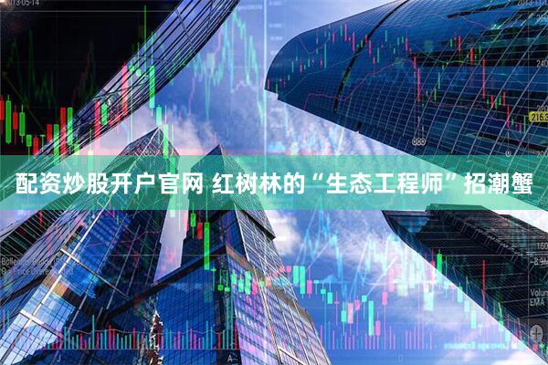 配资炒股开户官网 红树林的“生态工程师”招潮蟹